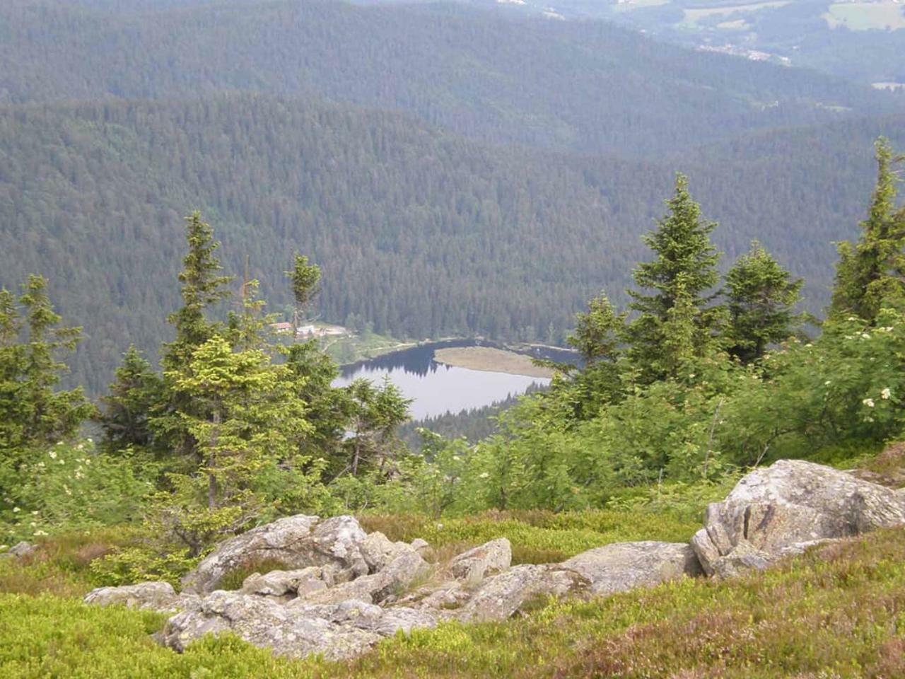 Gaestehaus Schmalzreich Лам Екстериор снимка